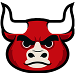 芝加哥公牛Logo
